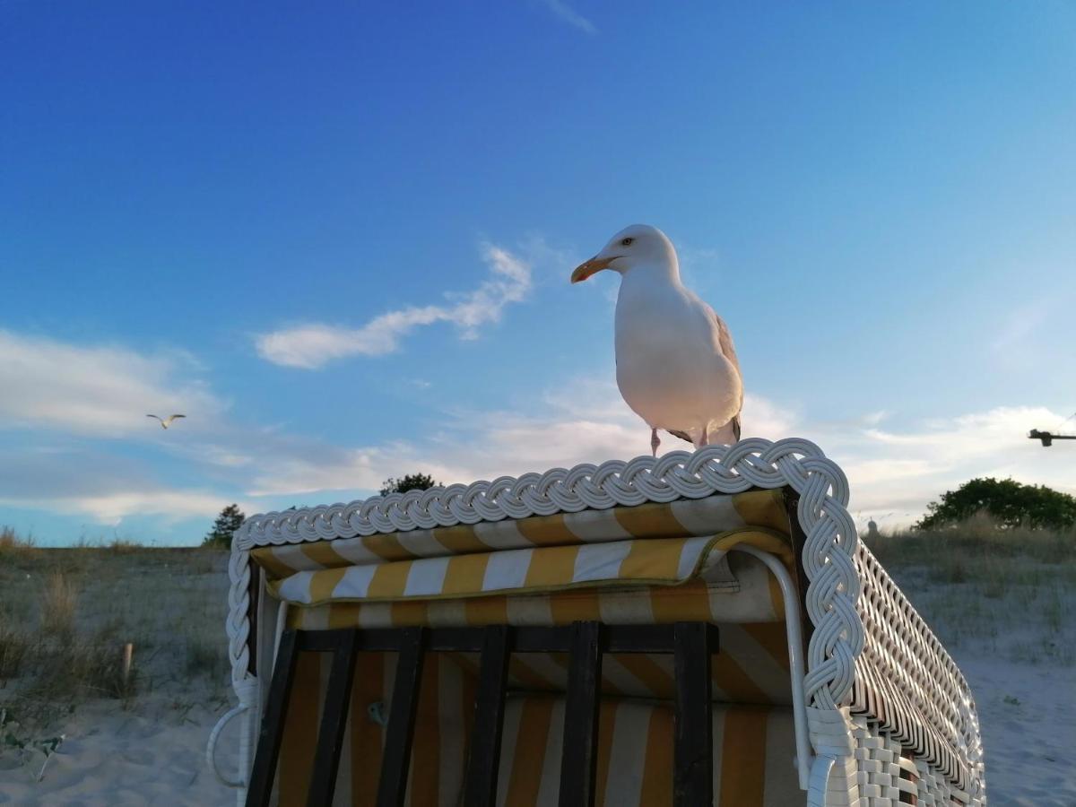 Ferienwohnung Strandburg Heringsdorf  Eksteriør billede